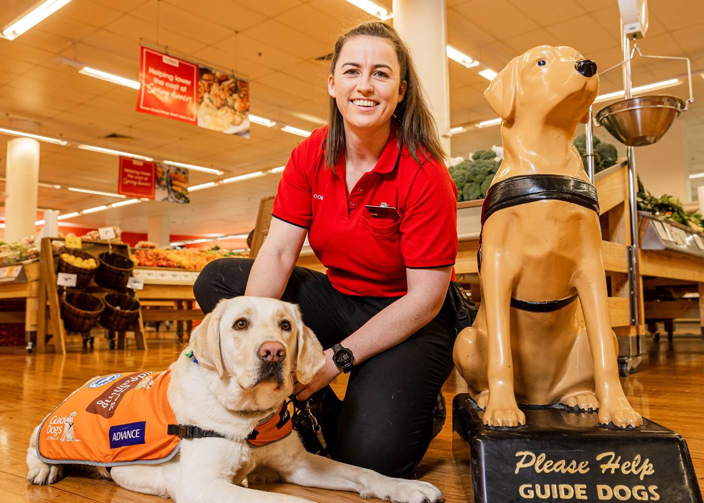 Trainee Support Dog Michael with Coles Store Manager Jessica Craven and collection dog